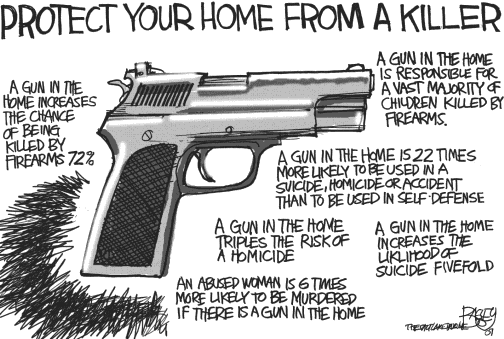 Image result for risks of gun ownership