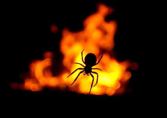 See the source image