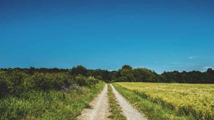 agriculture blue sky clear sky clouds